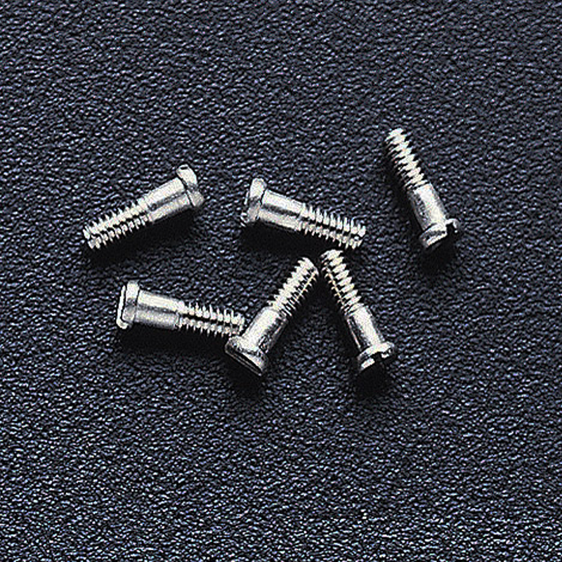 Hinge Screw