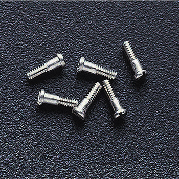 Hinge Screw